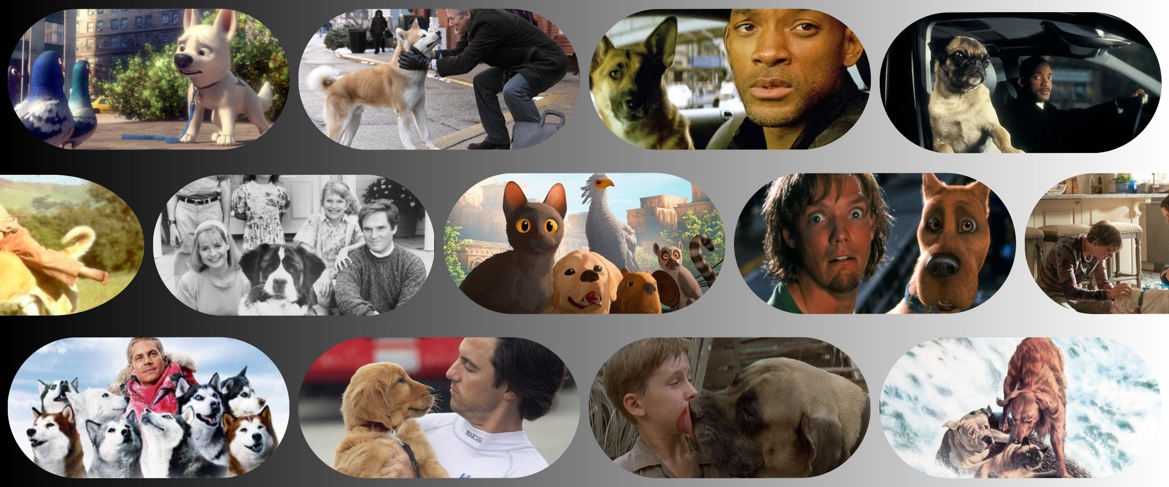 All time best dog movies from classics to the newest 2025 dog films