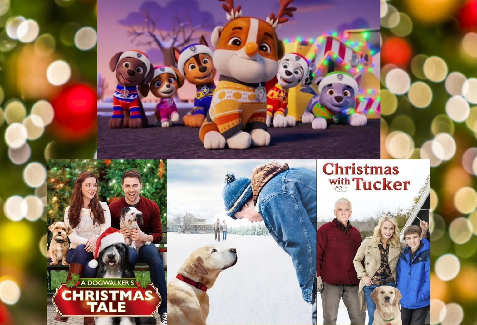 The Best Christmas Dog Movies for A Family Movie Night