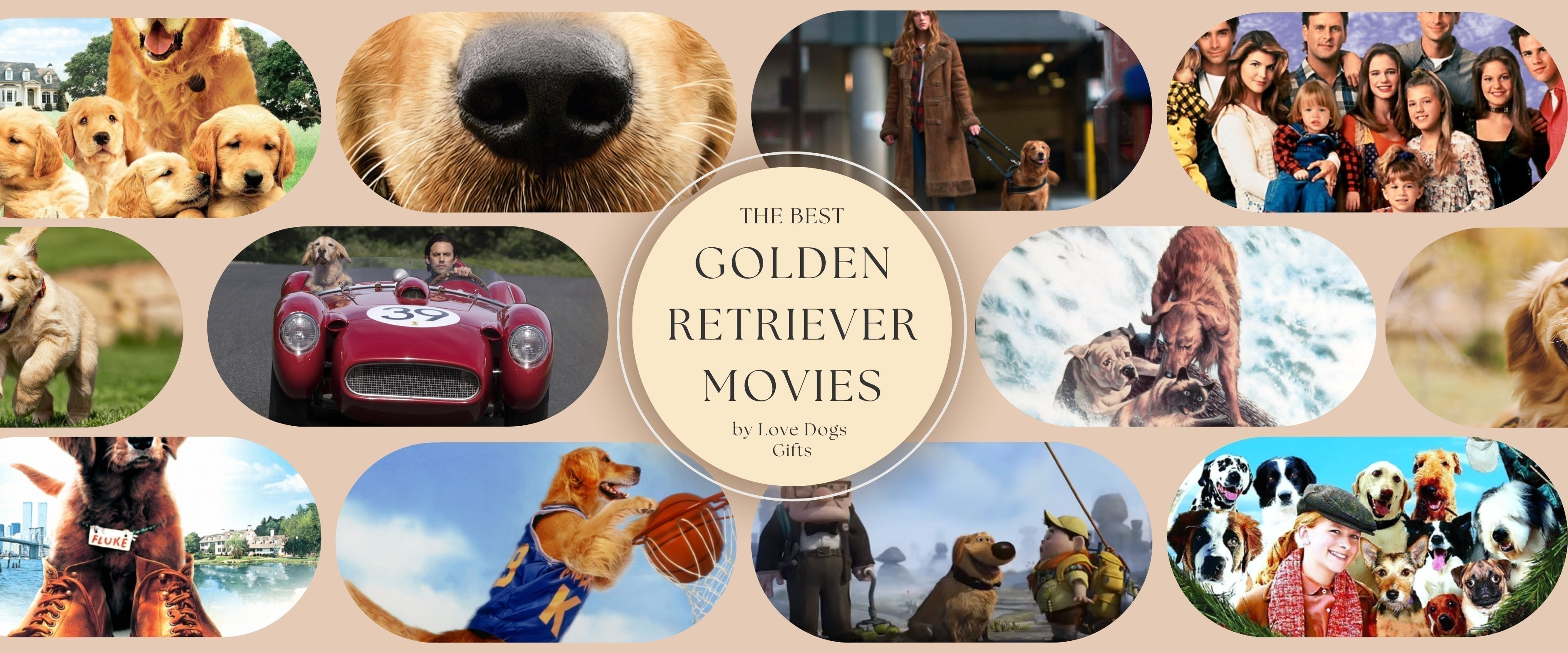 Best Golden Retriever movie list for a family movie night