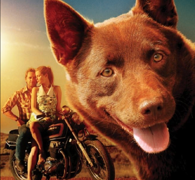 Red Dog Movie