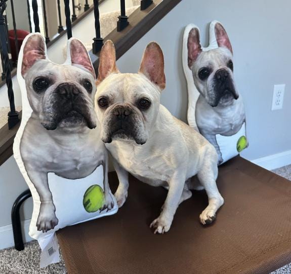 Custom Doberman Pillow | Made In The USA ywd4kc-br.myshopify.com