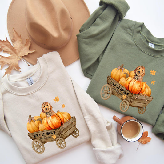 Pumpkin Patch Goldendoodle Sweatshirt ywd4kc-br.myshopify.com