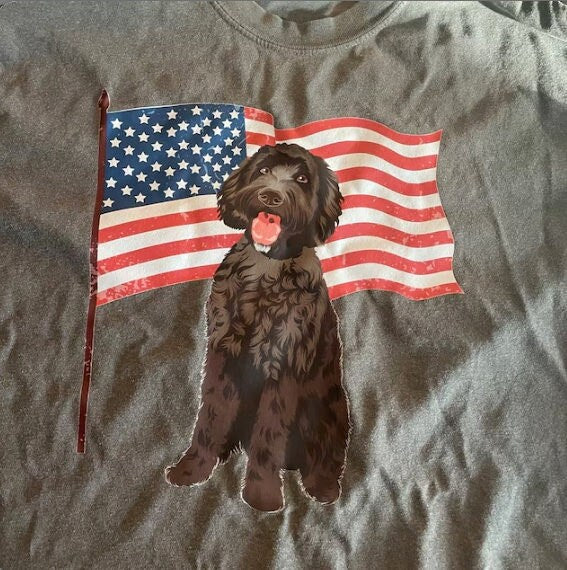 American patriot black doodle t-shirt for women & men