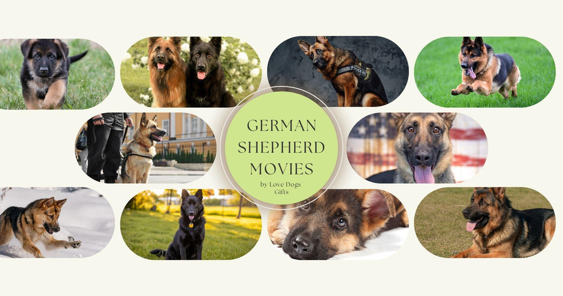 17 Best German Shepherd Movies: With IMDB Ratings