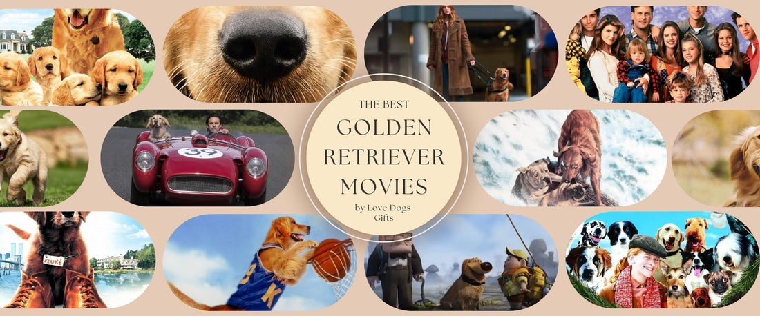 Best Golden Retriever movie list for a family movie night