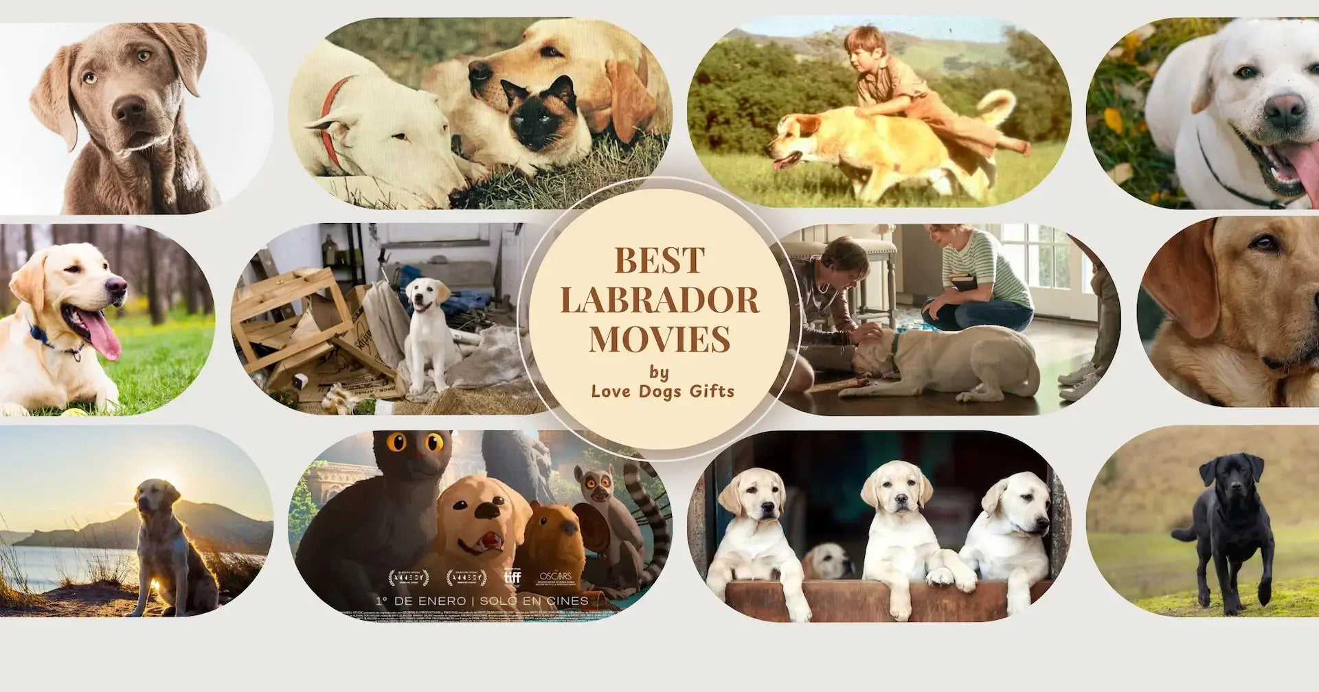Best Labrador Retriever Movies with imdb ratings, rottentomatoes ratings and movie trailers by Love Dogs Gifts