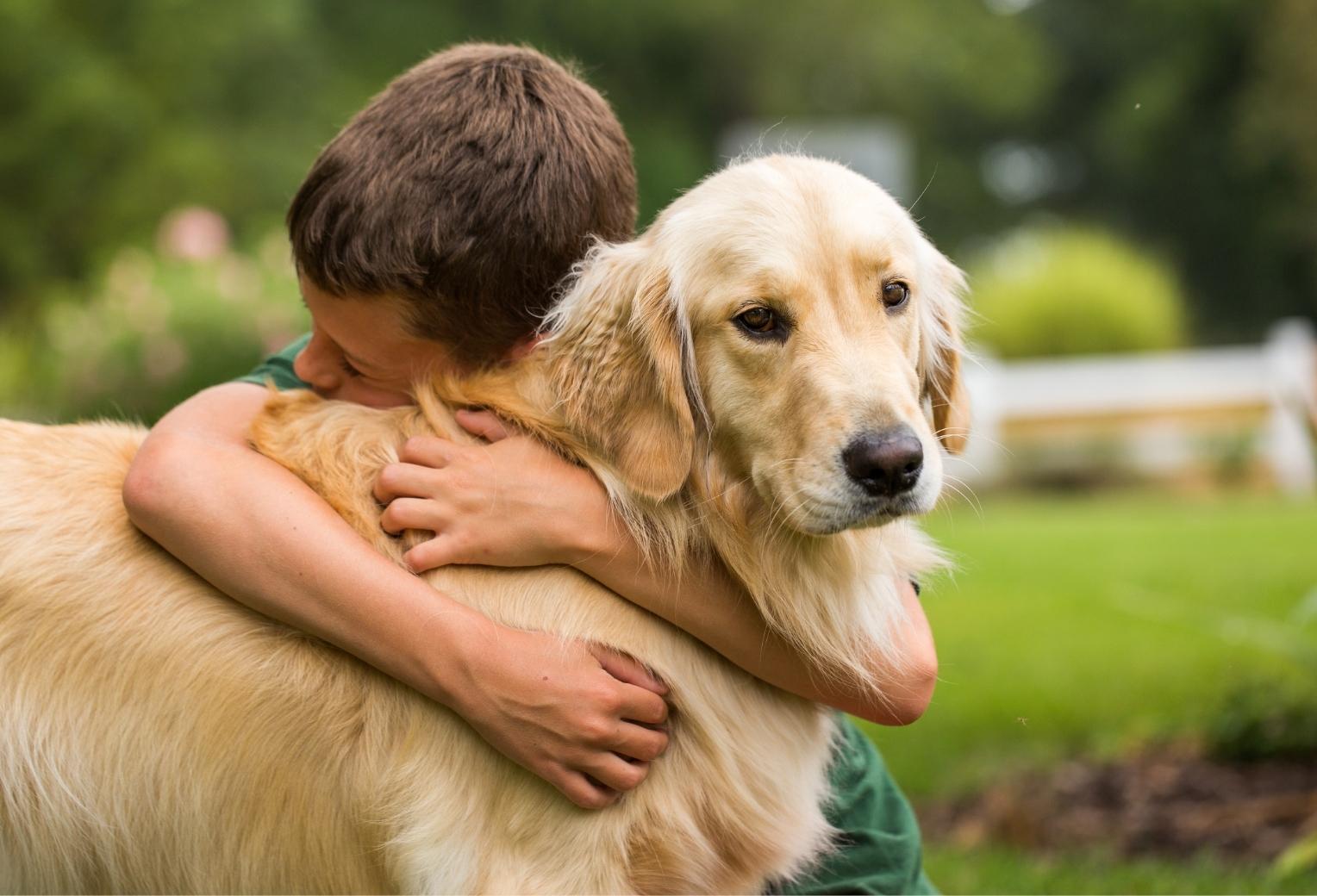 My Dog is Friendly Myth