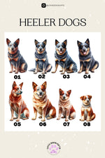 Australian Cattle Dog Sweatshirt | With a Dogs Name ywd4kc-br.myshopify.com