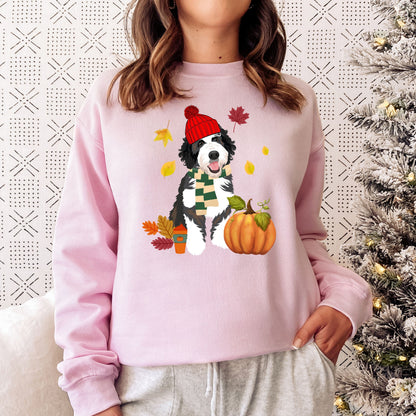 Bernedoodle Fall Pumpkin Sweatshirt ywd4kc-br.myshopify.com