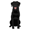 Lab 03