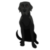 Lab 04