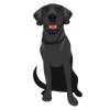 Lab 05