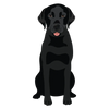 Lab 06