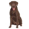 Lab 01