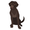 Lab 02