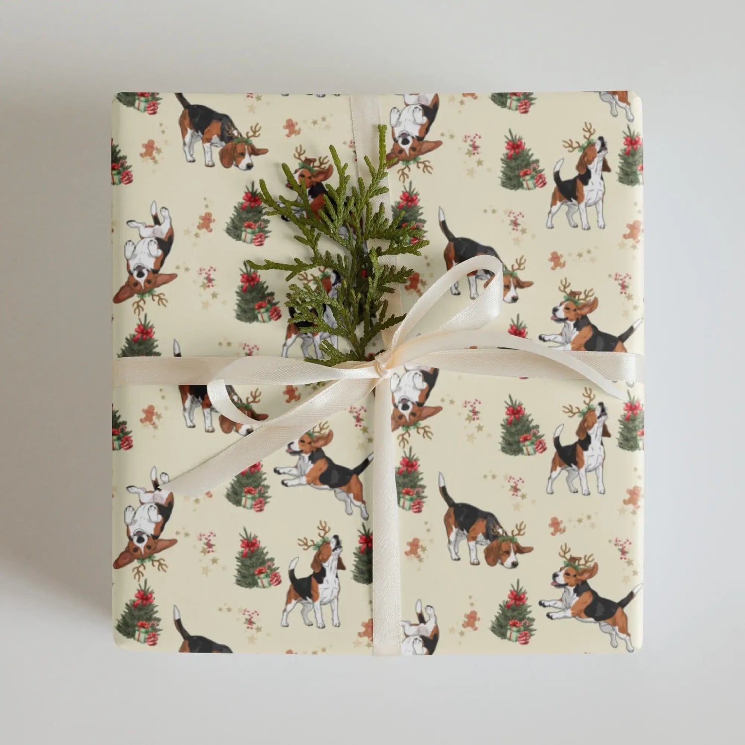 Gift wrapped in Christmas wrapping paper with beagles and Christmas trees on a white background