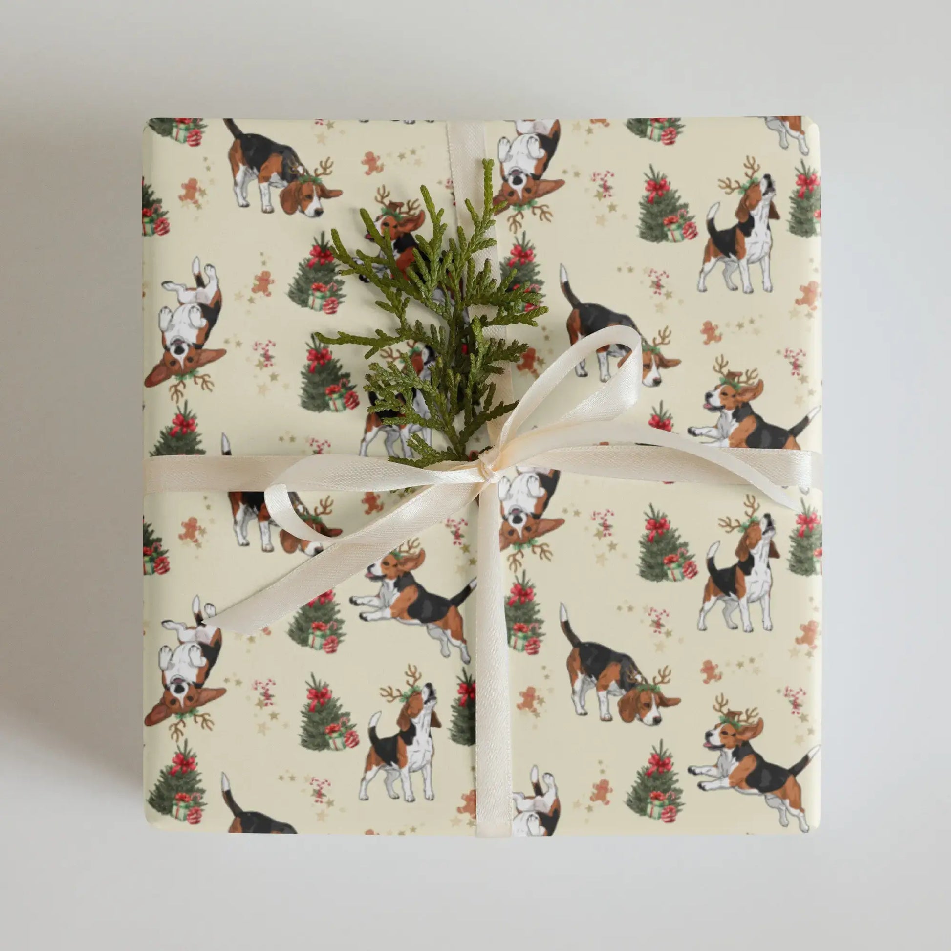 Gift wrapped in Christmas wrapping paper with beagles and Christmas trees on a white background