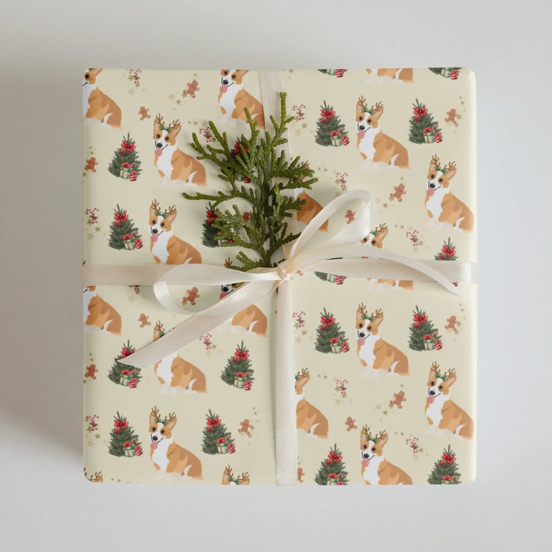 Gift wrapped in Christmas wrapping paper with corgi dogs and Christmas trees on a cream background