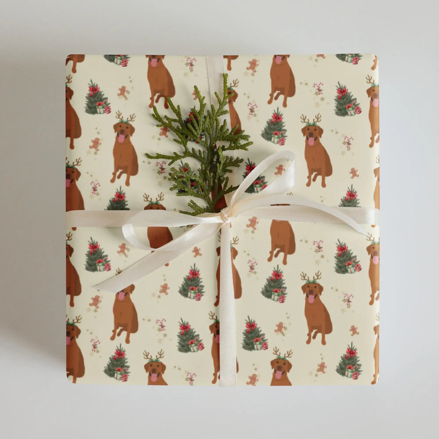 Gift wrapped in Christmas wrapping paper with red fox labrador and Christmas tree pattern on a cream background