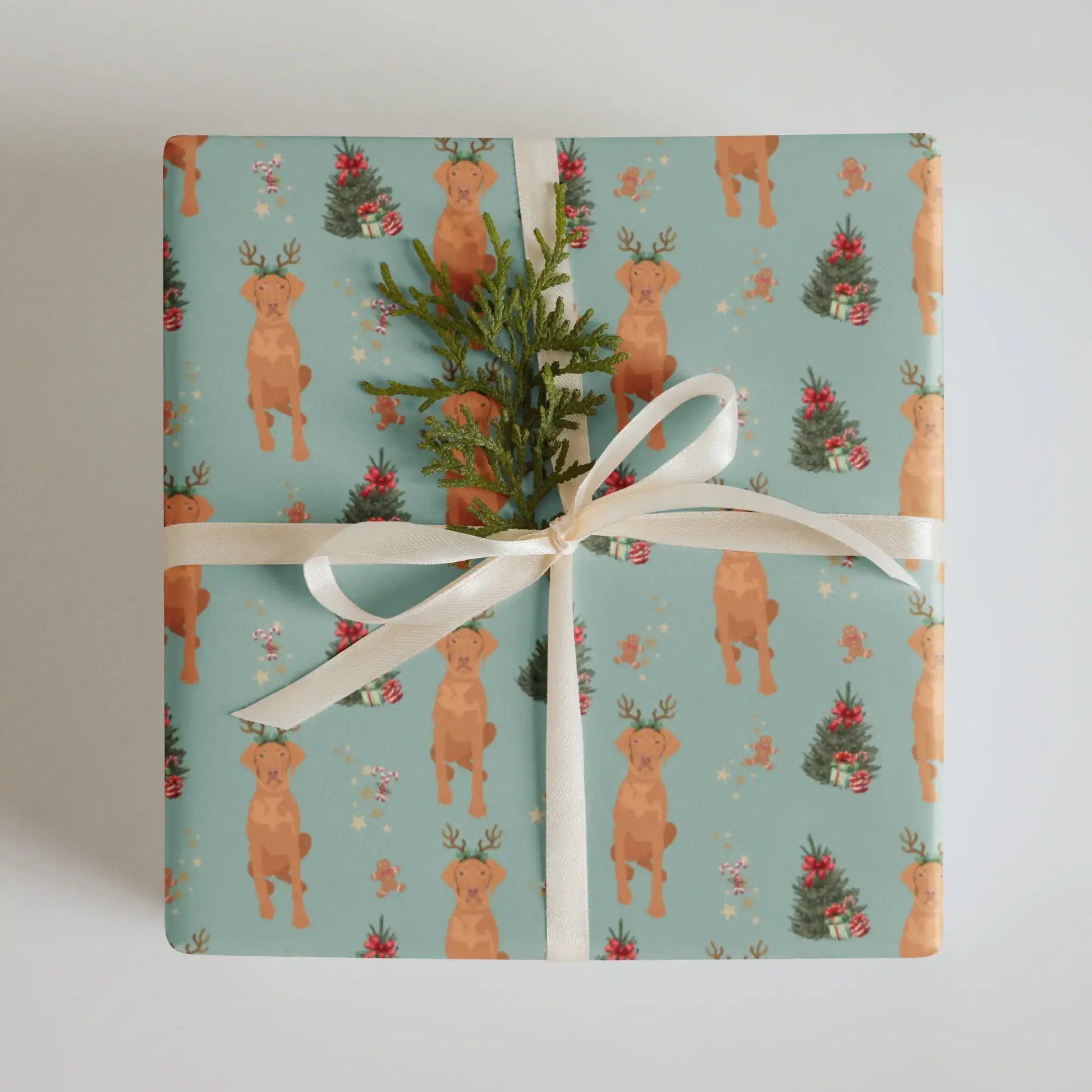 Gift wrapped in Christmas wrapping paper with Vizslas and Christmas trees on a sage color background.