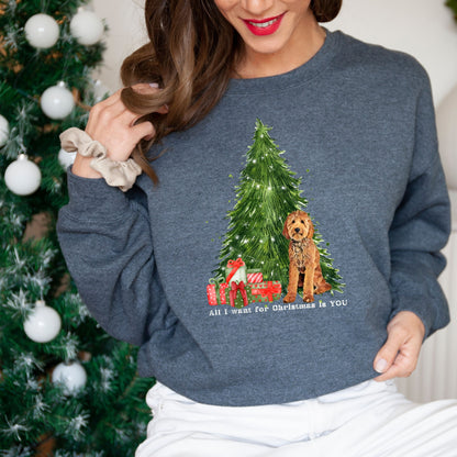 Christmas Goldendoodle Sweatshirt, All I want for Christmas is Golden doodle, Dog Mom Sweatshirt, Popular dog shirt, Fall Goldendoodle Gift ywd4kc-br.myshopify.com