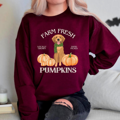 Farm Fresh Pumpkins Golden Retriever Sweatshirt ywd4kc-br.myshopify.com