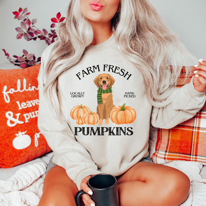 Farm Fresh Pumpkins Golden Retriever Sweatshirt ywd4kc-br.myshopify.com