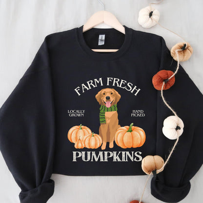 Farm Fresh Pumpkins Golden Retriever Sweatshirt ywd4kc-br.myshopify.com