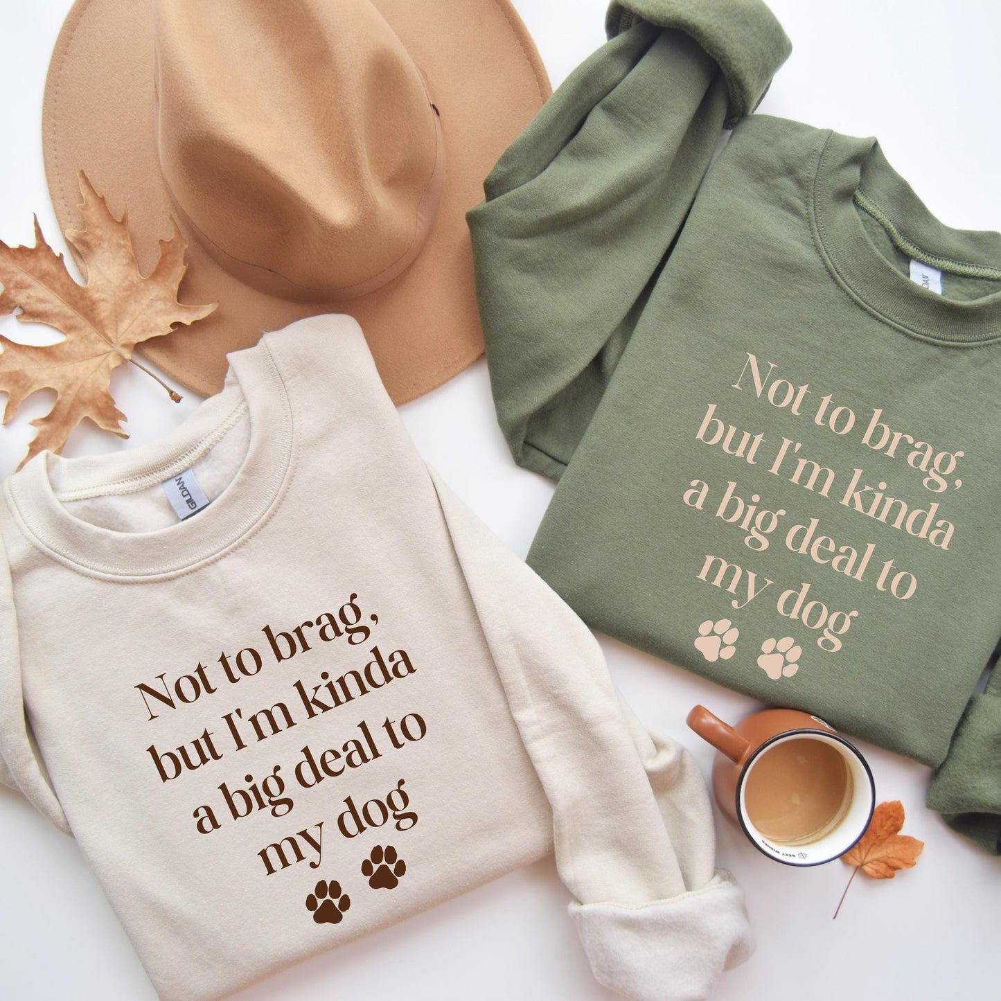 Not To Brag But Im Kinda A Big Deal To My Dog Mom Sweatshirt ywd4kc-br.myshopify.com