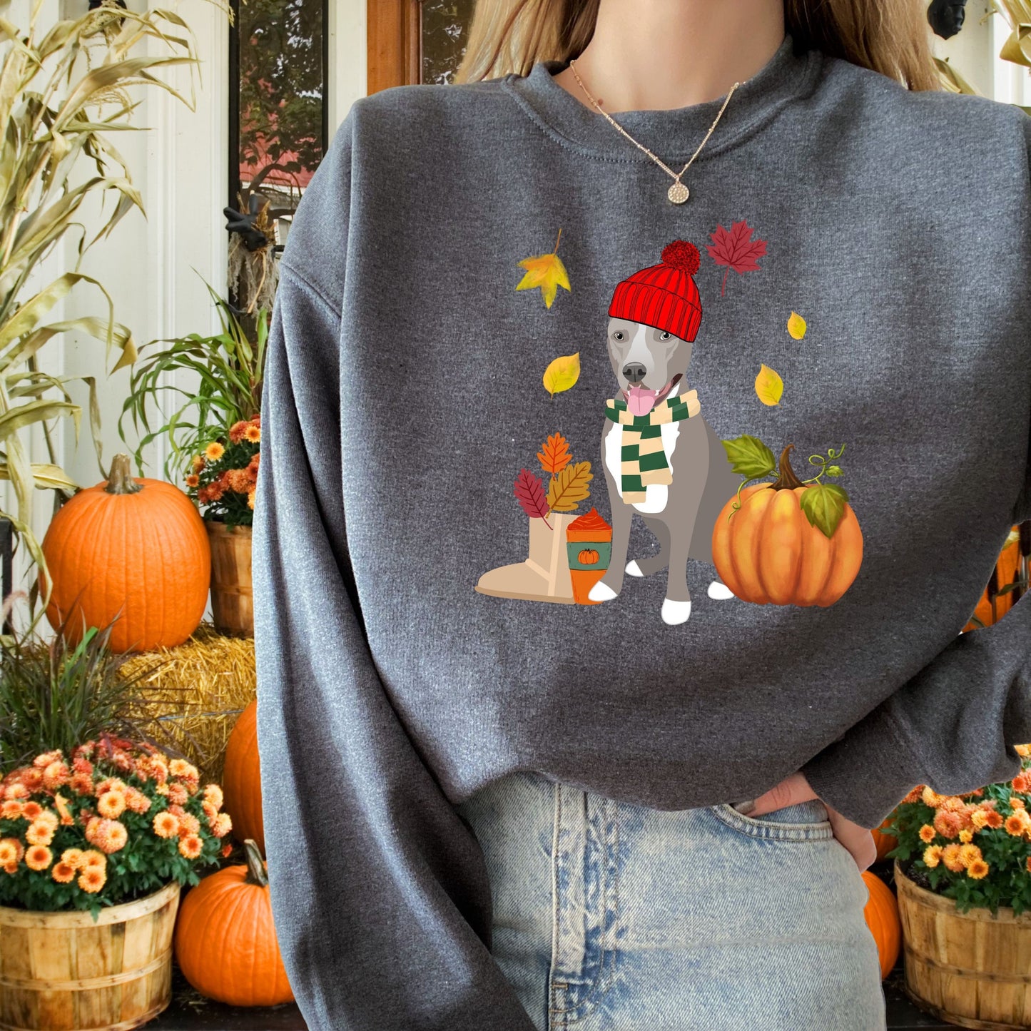Pitbull And Pumpkin Fall Sweatshirt | 13 Pitty Options ywd4kc-br.myshopify.com