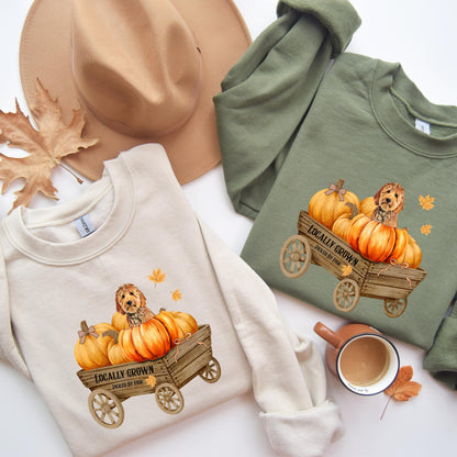 Pumpkin Patch Goldendoodle Sweatshirt ywd4kc-br.myshopify.com