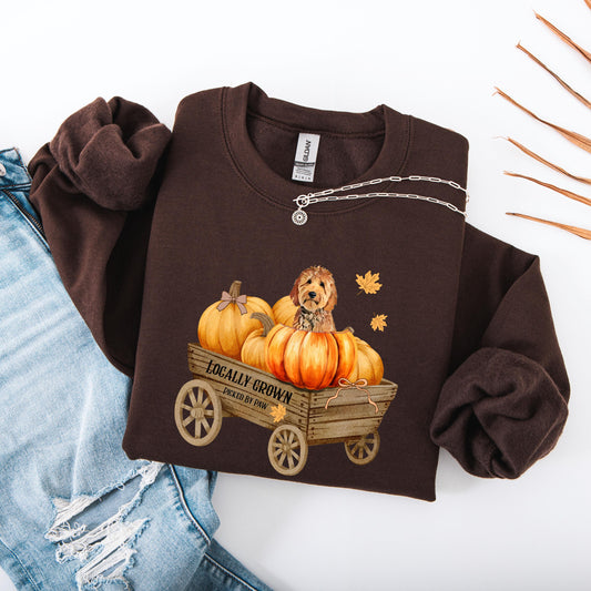 Pumpkin Patch Goldendoodle Sweatshirt ywd4kc-br.myshopify.com