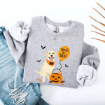 Gray sweatshirt with Halloween-themed design featuring a labrador retriever dog with a bandana Boo, pumpkin, and balloon with a text Trick or Treat