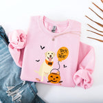 Trick or Treat Labrador Halloween Sweatshirt: Lab Mom Gift ywd4kc-br.myshopify.com