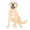 Lab 07