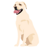 Lab 08