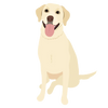 Lab 09