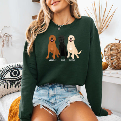 Labrador Retriever Sweatshirt, labrador gift, sister birthday gift, black yellow chocolate red fox labrador hoodie, cute labrador mom shirt