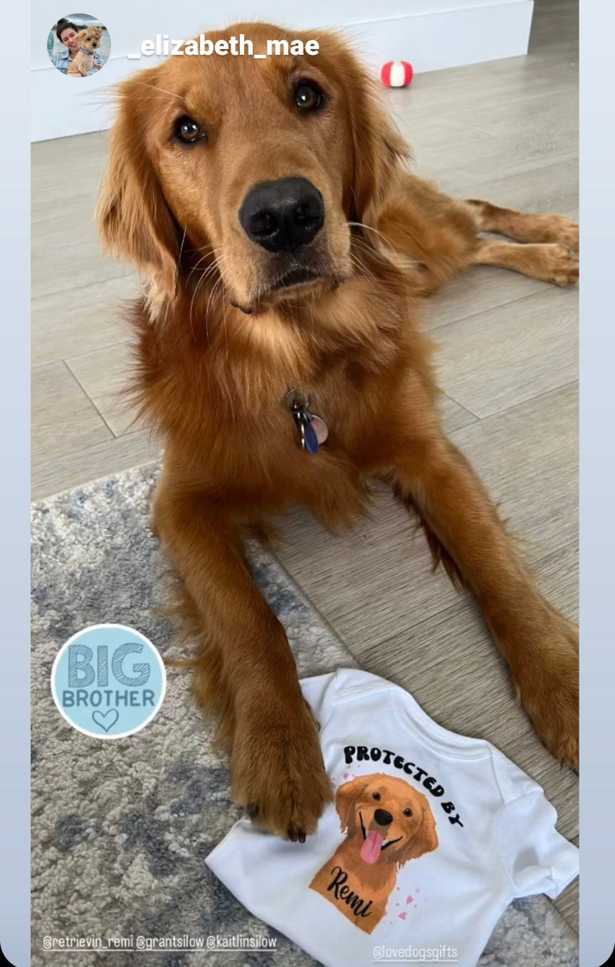 Protected by Dog Onesie®, Goldendoodle Onesie, New Best Friend Onesie, Custom Dog Breed Onesie®, Dog Name Onesie®, Baby Shower Gift