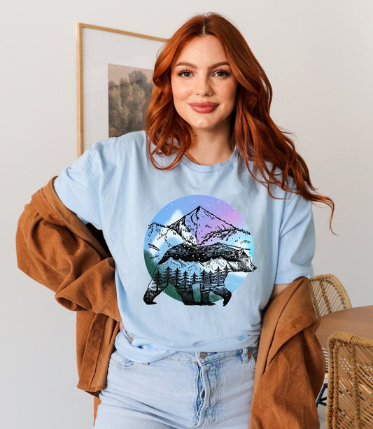 Alaska T-shirt, Alaska gift, Aurora borealis shirt, cruise Alaska shirt, map Alaska, Alaska sweatshirt, I love Alaska, northern lights
