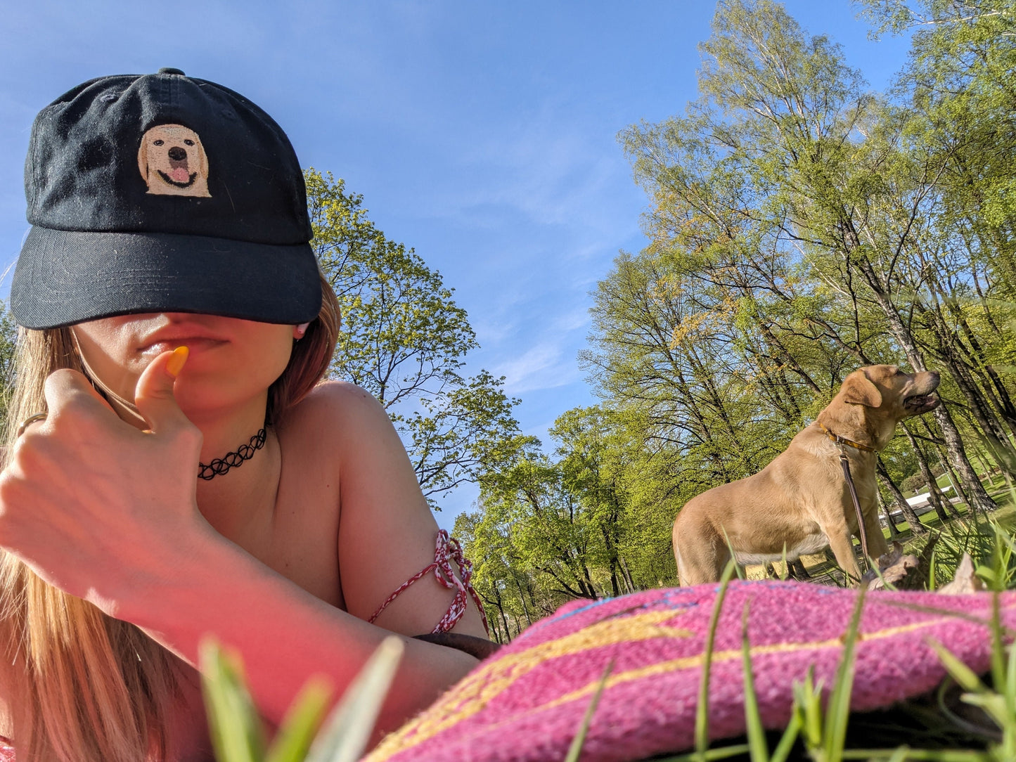 yellow Labrador retriever hat