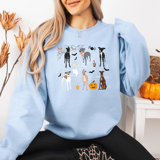 Spooky Halloween Whippet Shirt, Greyhound sweatshirt, trick and treating sweater, bats ghost dog crewneck, wife Christmas gift, whippet pupy