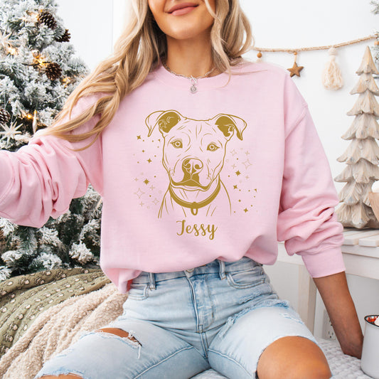 Personalized Pitbull Sweatshirt, pitbull gifts, sister Christmas pitbull owner shirt, fall Pit Bull mama, wife birthday gift, pitty shirt