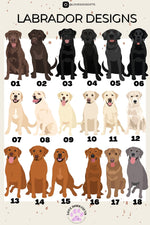 labrador retriever chart