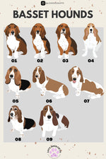 Basset Hound Sweatshirt | 9 Dog Options | Basset Mom Shirt